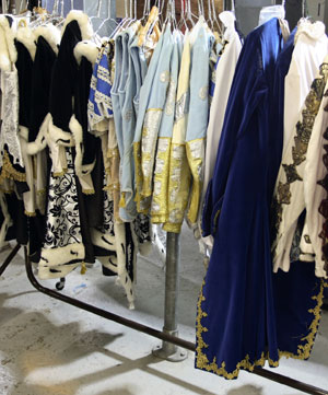 Adult Costumes Adult Costumes