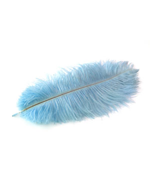 Feathers & Feather Trim Feathers & Feather Trim