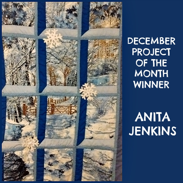 December Project of the Month Winner 2017