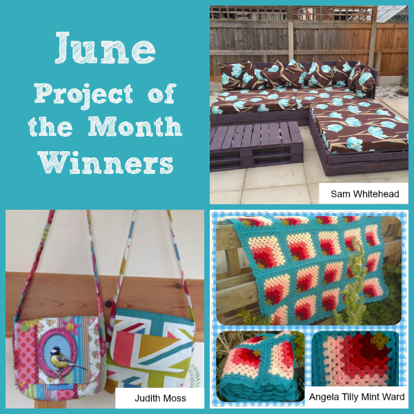 Aril Project of the Month Challenge Winners 