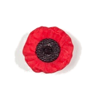 Product of the Week - Poppy Buttons
