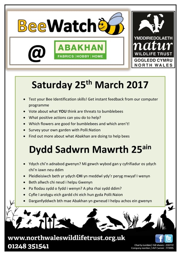 Join us for Bee Watch at Mostyn on Saturday 25th March